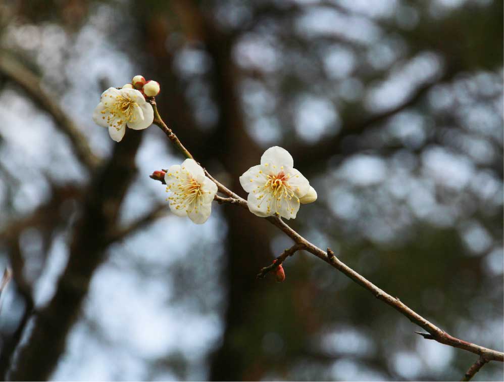 四所神社